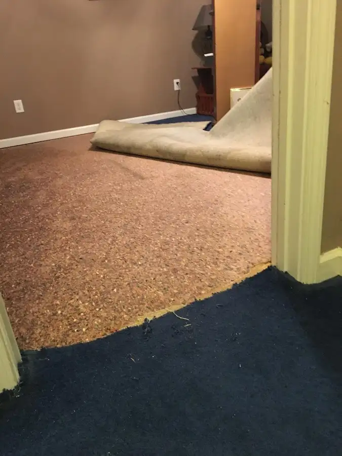 Carpet pad removal revealing water damage during Water Mitigation Services in Corte Madera