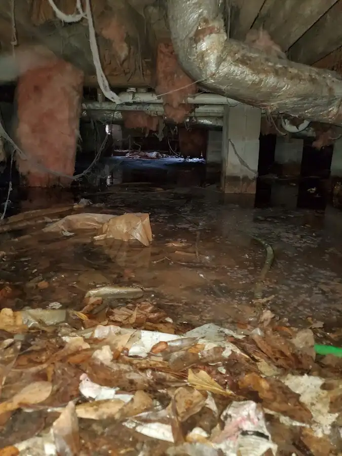 Crawl space flood assessment for Commercial Water Damage Restoration in Corte Madera